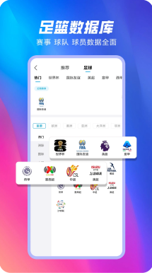 凯利指数 投注风险指标