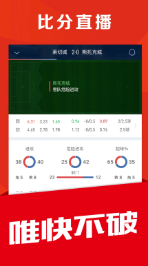 战术分析师 王磊 深度解读
